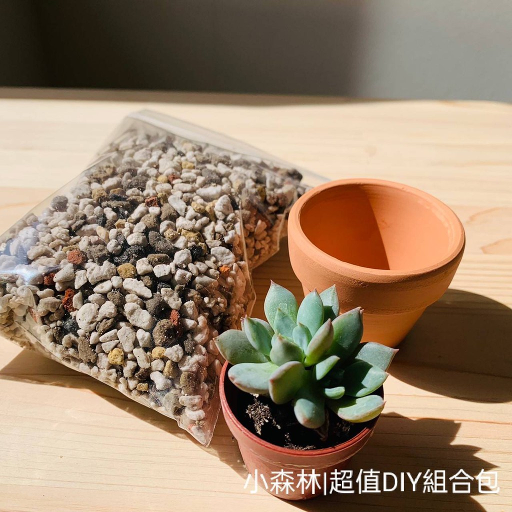 小不點森林 迷你陶盆 Diy超值包 盆栽 花器 多肉組合包 花盆 素燒盆 陶盆 陶瓷盆 園藝diy 兒童節 蝦皮購物