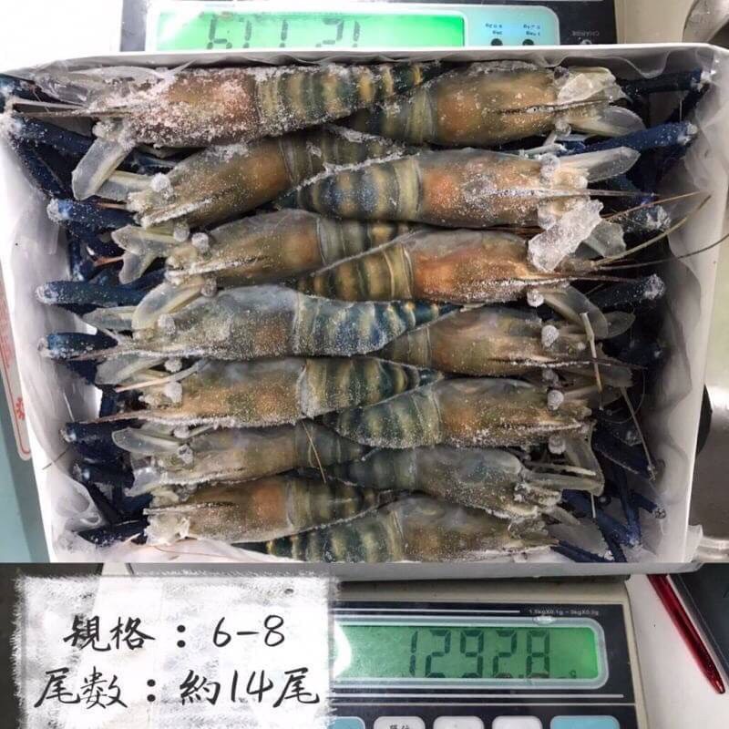 冷凍泰國蝦烤肉必備 蝦皮購物