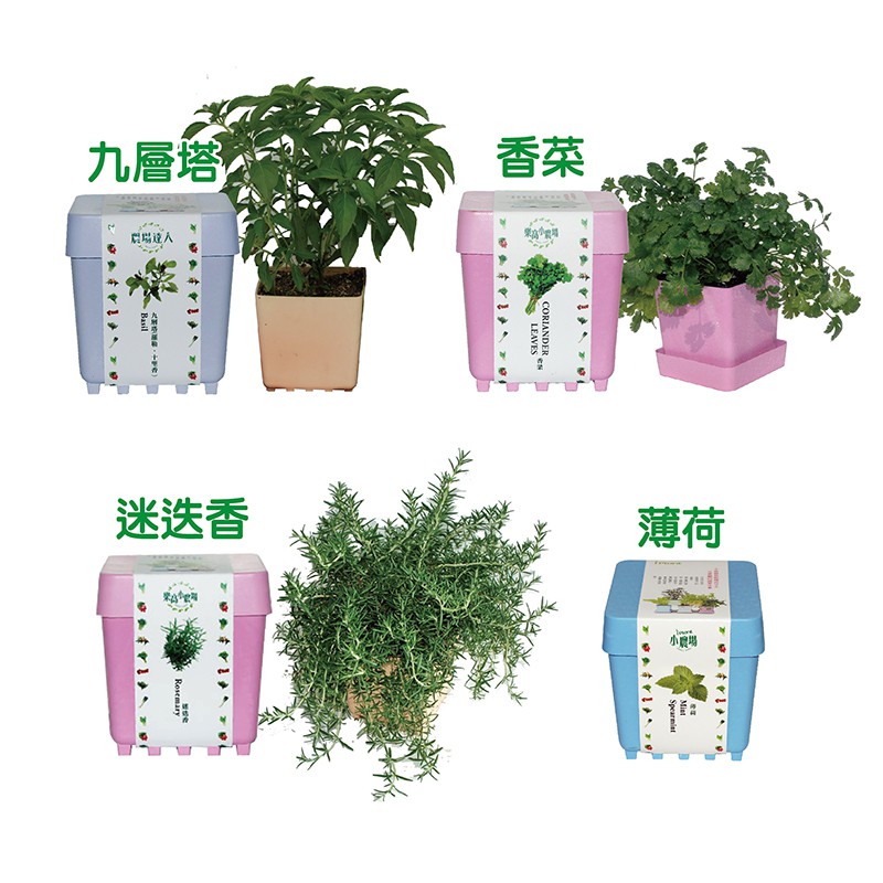 IPLANT小農場 DIY蔬果盆栽 積木植栽 花卉 / 蔬果 / 香料 療癒植栽 【久大文具】0727