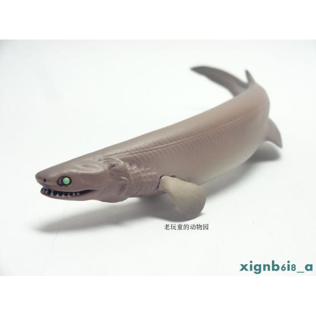 特惠 奇譚俱樂部深海生物1 皺鰓鯊掛鏈 Xignb6i8 A 蝦皮購物