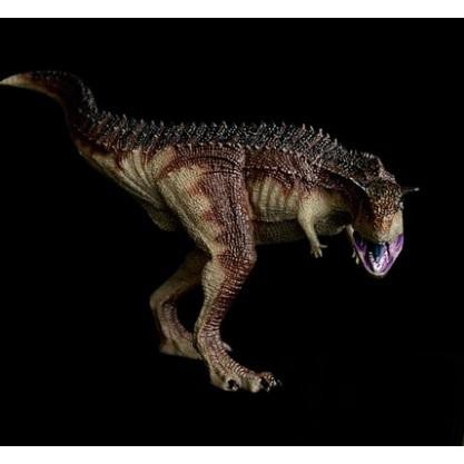 侏儸紀 恐龍模型 食肉牛龍 非REBOR papo