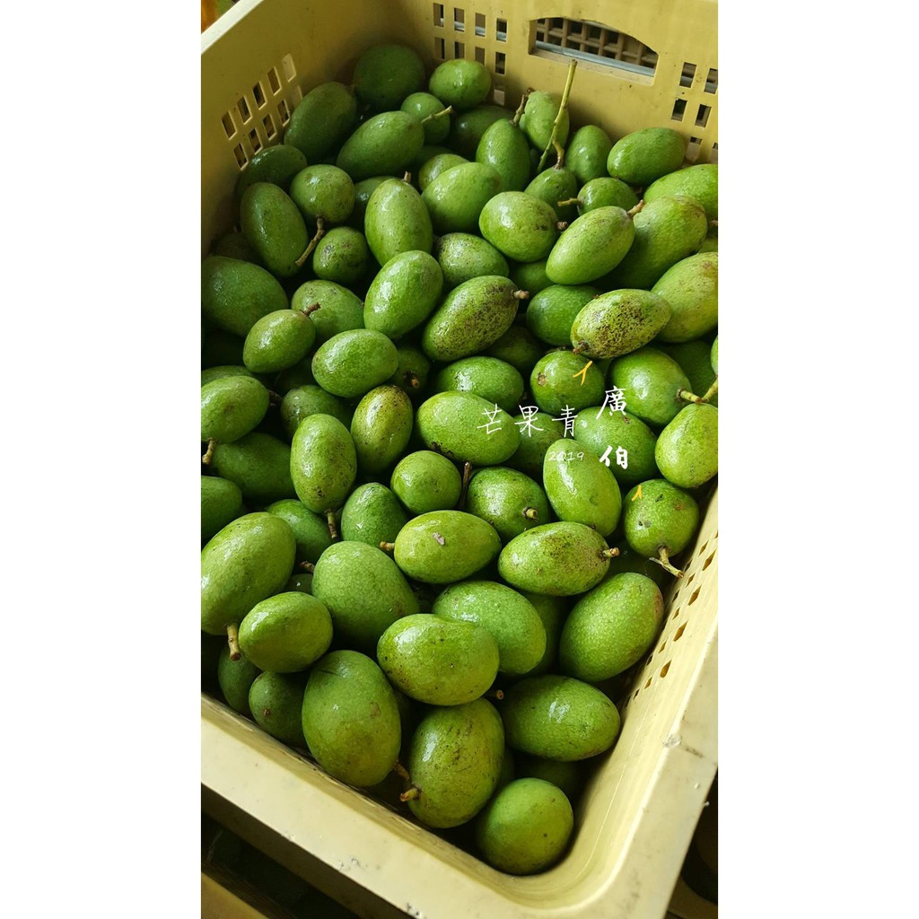 Mango 未削皮土芒果 青土芒果 芒果青  一斤35，10斤一袋340 (草生栽培不噴草藥)