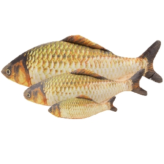 貓玩具 貓薄荷鯽魚玩具 寵物玩具 鯽魚 貓草 寵物用品 寵物 寵物 模擬魚 貓薄荷