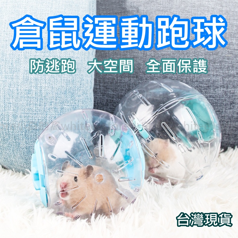 倉鼠玩具 鼠玩具 倉鼠球 寵物鼠滾球 倉鼠滾球 倉鼠跑球 跑球 滾球 老鼠滾輪 倉鼠 寵物鼠 黃金鼠 銀狐 老鼠 玩具