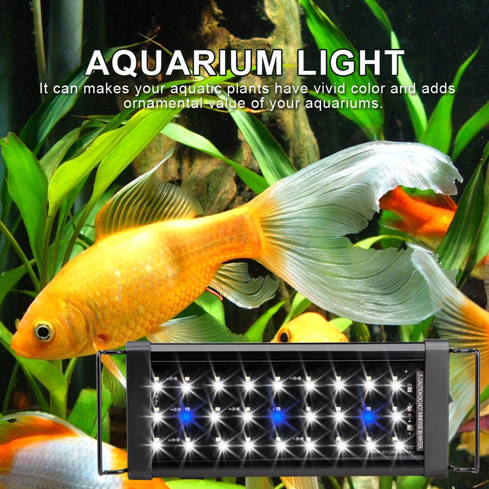 45cm 魚缸的價格推薦第2 頁 21年1月 比價比個夠biggo