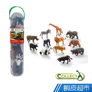 collectA 迷你野生動物組(盒裝-12入)~英國高擬真模型R1105 廠商直送