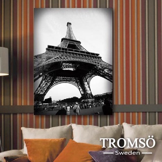 實木棉布無框畫 艾菲爾鐵塔【TROMSO】/ W59 60x80cm 臺灣現貨 法國 巴黎 鐵塔 【H0309067】