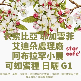 †星星咖啡†衣索比亞 耶加雪菲 艾迪朵處理廠 阿布拉罕小農 可如蜜種 日曬 G1