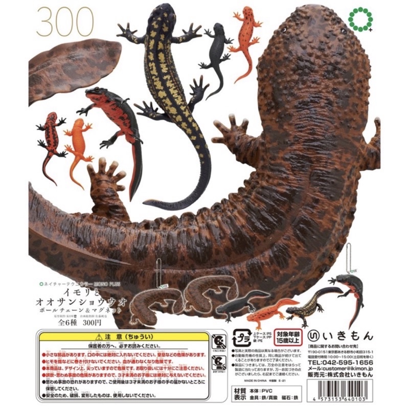 IKIMON NTC 蠑螈與大山椒魚 磁鐵&吊飾 蠑螈 山椒魚 蜥蜴 兩棲 擬真  KITAN 奇譚 全新現貨