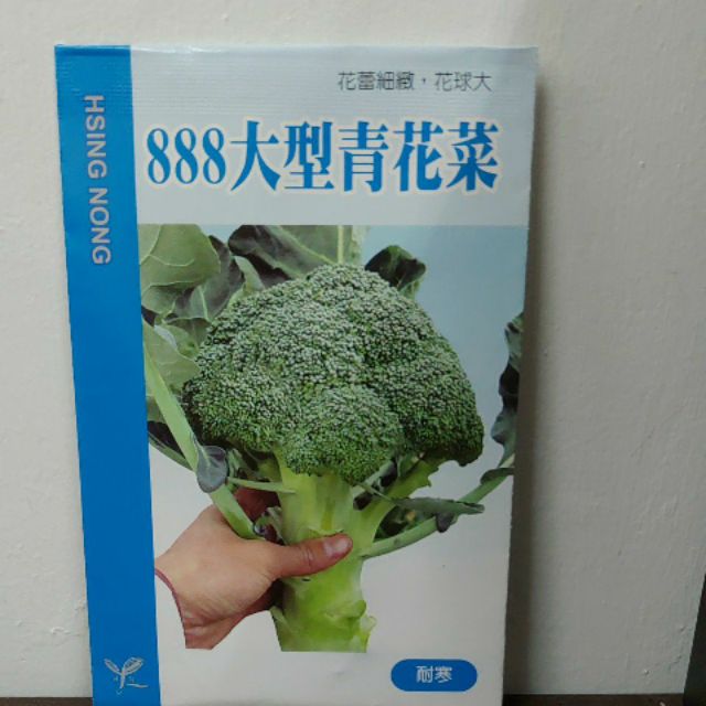 蔬菜種子#興農種子，888大型青花菜。 #上好種苗行龍潭店