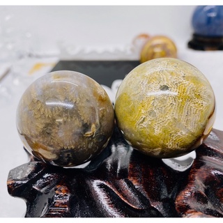中森寶石🔮海洋半寶石 靈性半寶石 珊瑚玉球 菊花石圓球 水晶球（天然色澤無最佳化無染色）#天然水晶擺件 #風水擺件