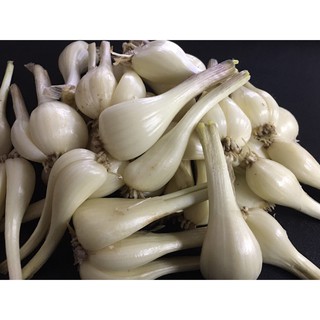 蕗蕎 優惠推薦 21年6月 蝦皮購物台灣
