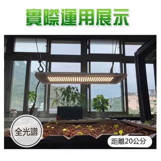 君沛光電 植物燈系列 全光譜 磁吸式 裸版型 植物 燈版 20瓦 植物燈