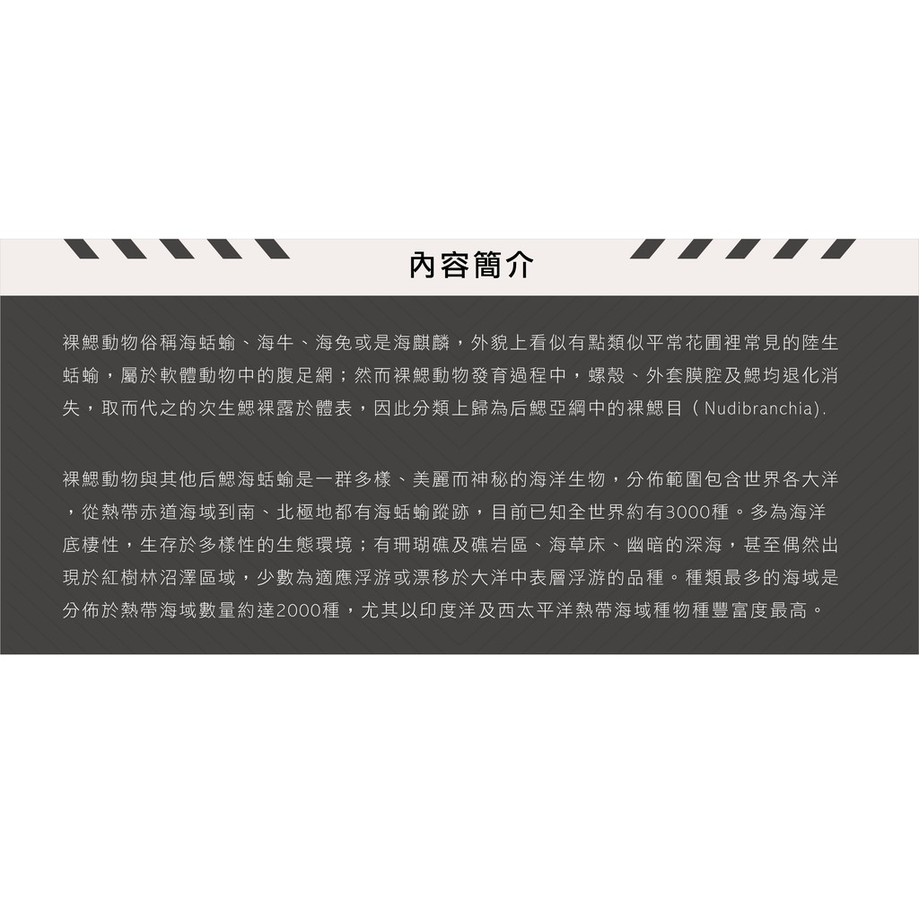 Ezdive 七彩海蛞蝓台灣的裸鰓動物 Gogoscuba 蝦皮購物