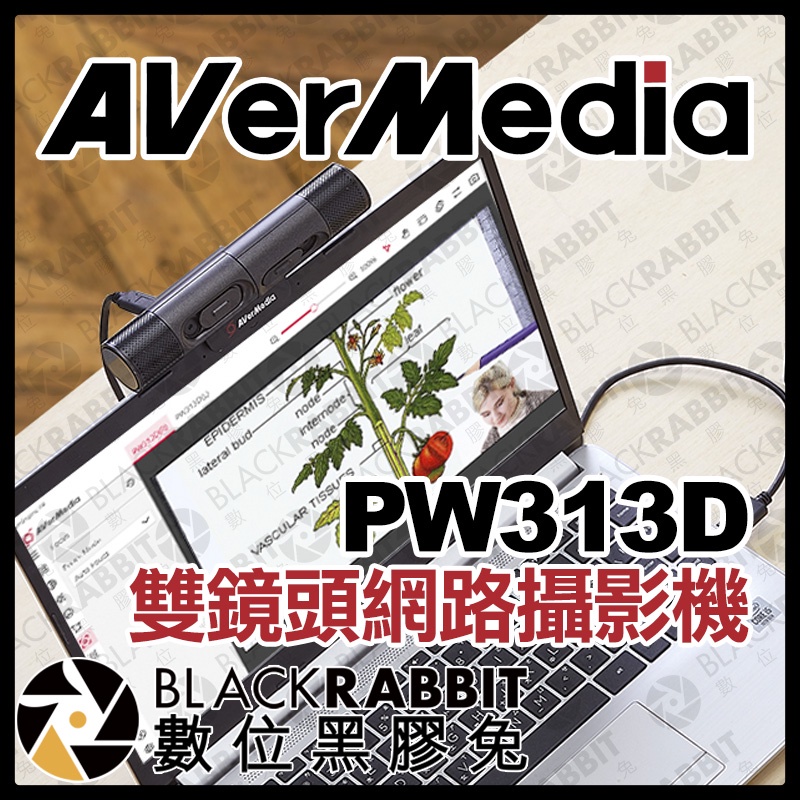 【 AVerMedia 圓剛 PW313D 雙鏡頭網路攝影機 】 採訪 會議 收音 雙向 視訊 USB 筆電 數位黑膠兔
