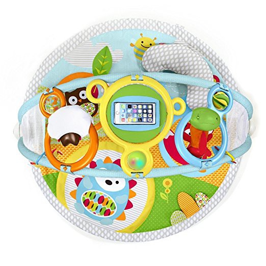 skip hop activity gym