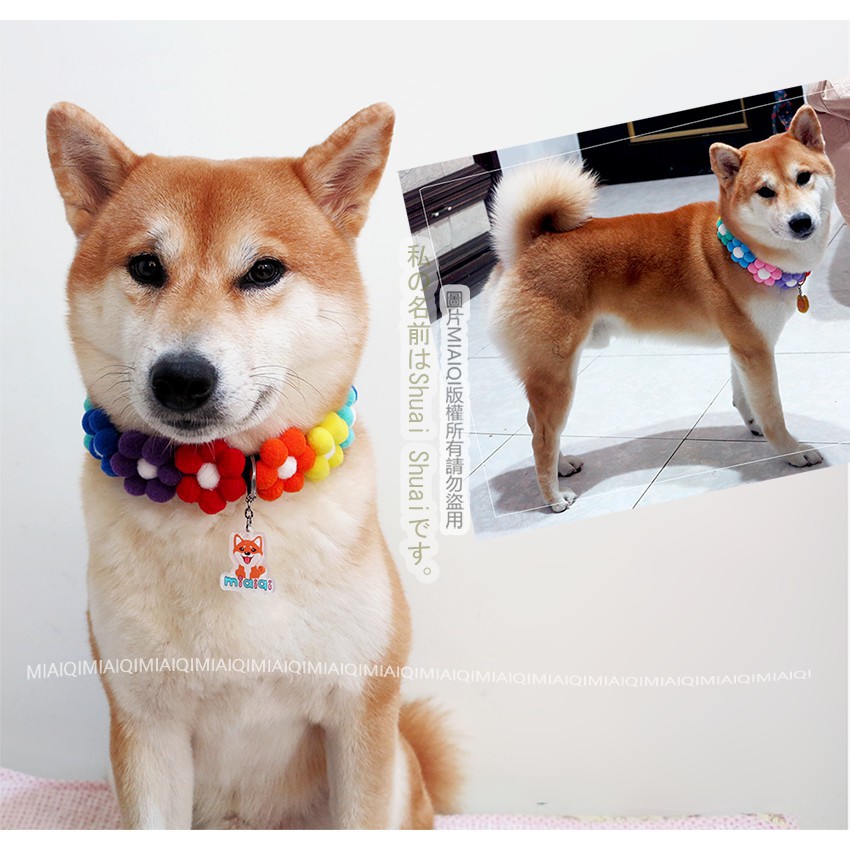 柴犬項鍊在全球的價格推薦 21年1月 比價比個夠biggo