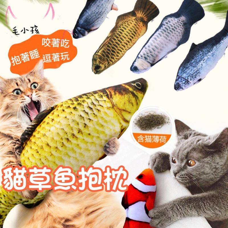 【台灣當日寄出】貓草魚 大中小尺寸 貓草 貓玩具 貓薄荷魚造型抱枕 逗貓棒 貓薄荷