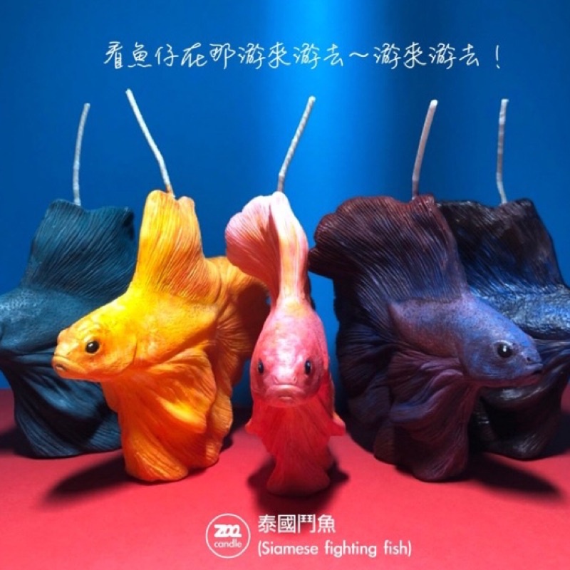 『ZOO造型蠟燭』泰國鬥魚/Siamese fighting fish/香氛蠟燭/造型蠟燭/禮物