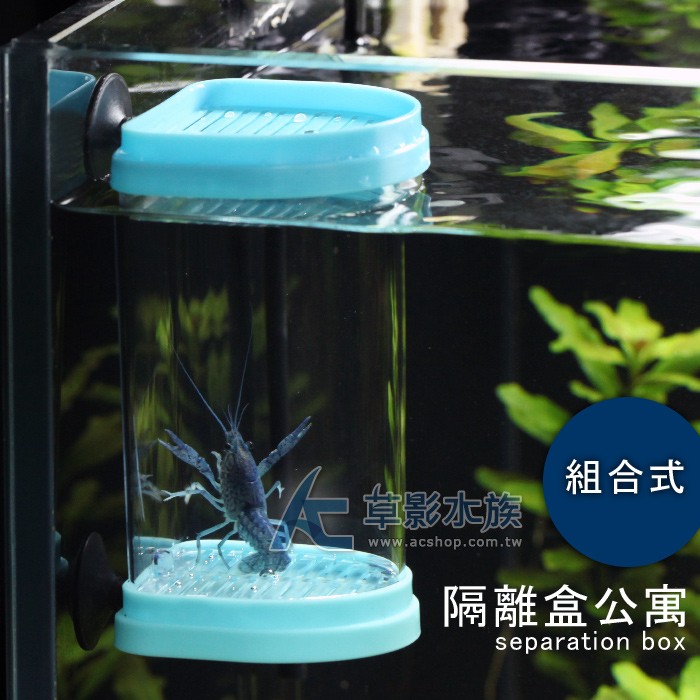 Ac草影 螯蝦 海水魚組合式隔離盒公寓 一個 魚蝦隔離螯蝦繁殖小蝦隔離孔雀魚繁殖盒隔離網飼育盒 蝦皮購物