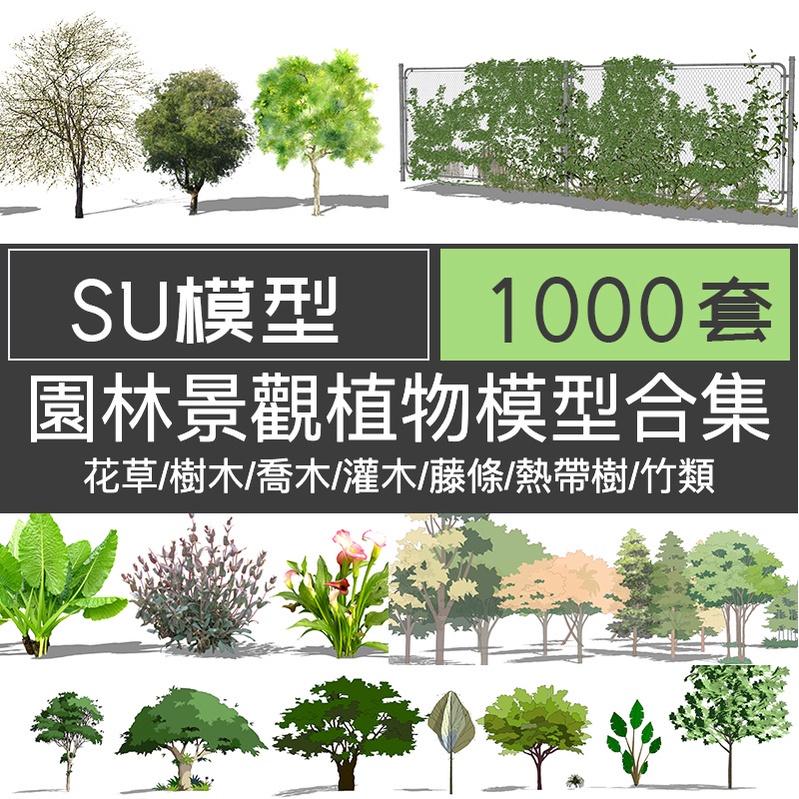 「素材專營」sketchup素材庫 su植物花卉模型 草圖大師模型 SU園林景觀植物花草樹木喬木花卉灌木 su貼圖