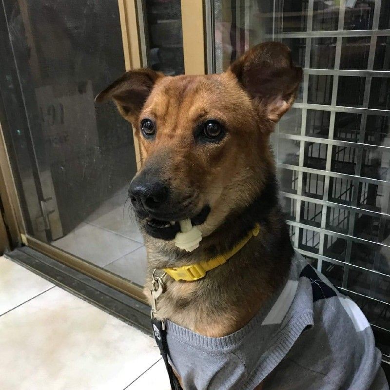 蜘蛛人離家日電影限量周邊迷你無人機 蝦皮購物