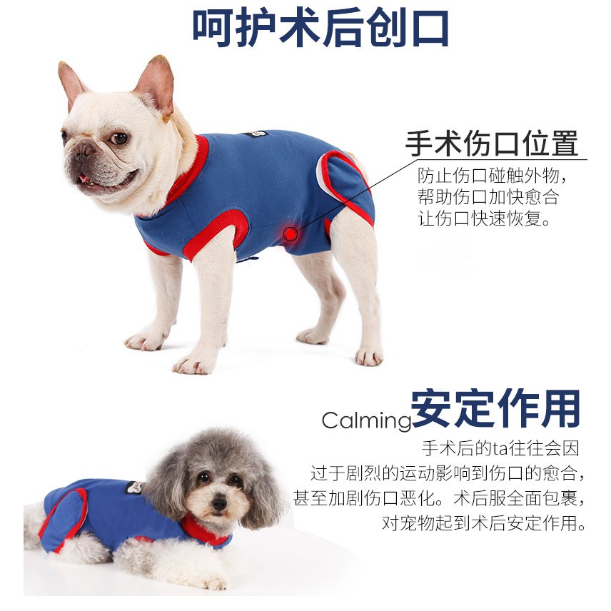 Doglemi多樂米狗狗术后防舔衣全棉彈力透氣冬夏可穿绝育术后恢复服保护伤口断奶护肚宠物衣服 蝦皮購物