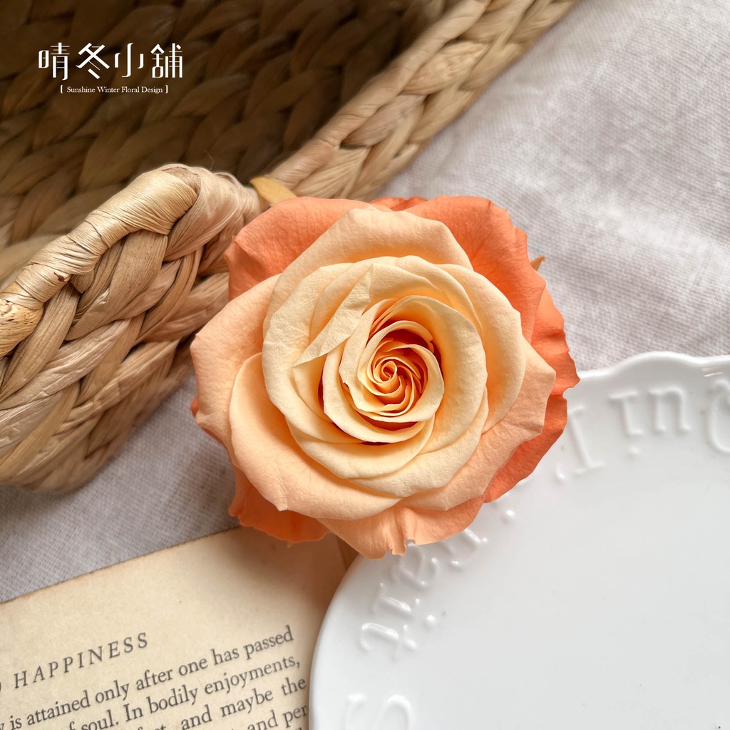 晴冬小舖 日本進口大地農園不凋滾邊漸層滿開玫瑰特大玫瑰不凋玫瑰花特殊漸層染色玫瑰不凋花永生花永生玫瑰