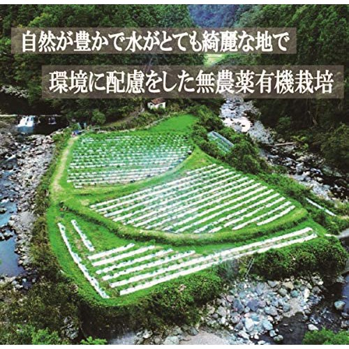 超激辛七味唐辛子 日本原裝激辛調味料醬料美食激辛辣粉飆淚快感噴火般麻辣 大福部屋 蝦皮購物