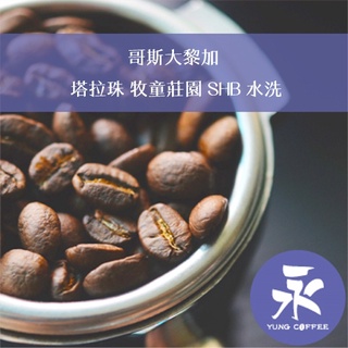 [永每咖啡]超值449元1磅裝,塔拉珠 牧童莊園 SHB 水洗(哥斯大黎加)中焙咖啡豆,滿498元免運,新鮮烘焙