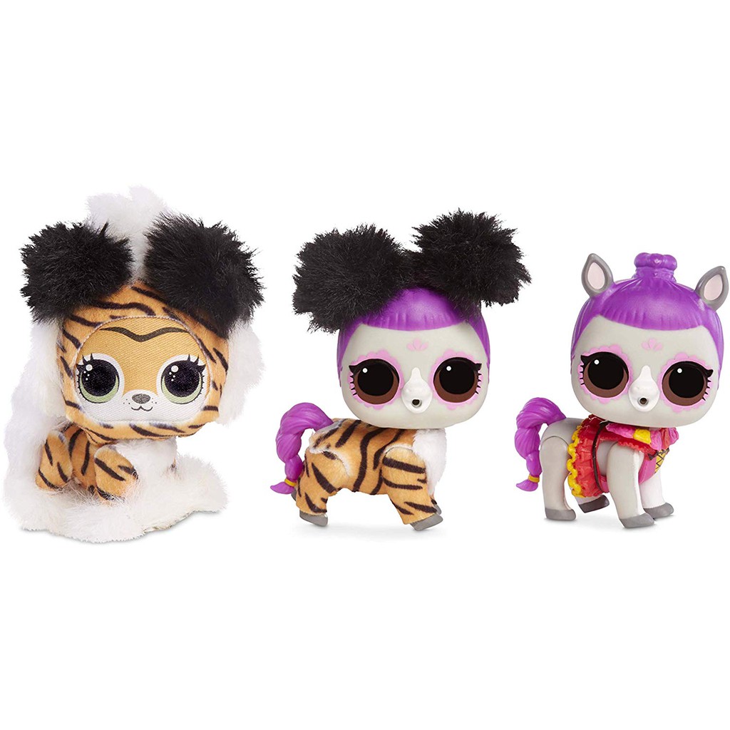 winter disco pets