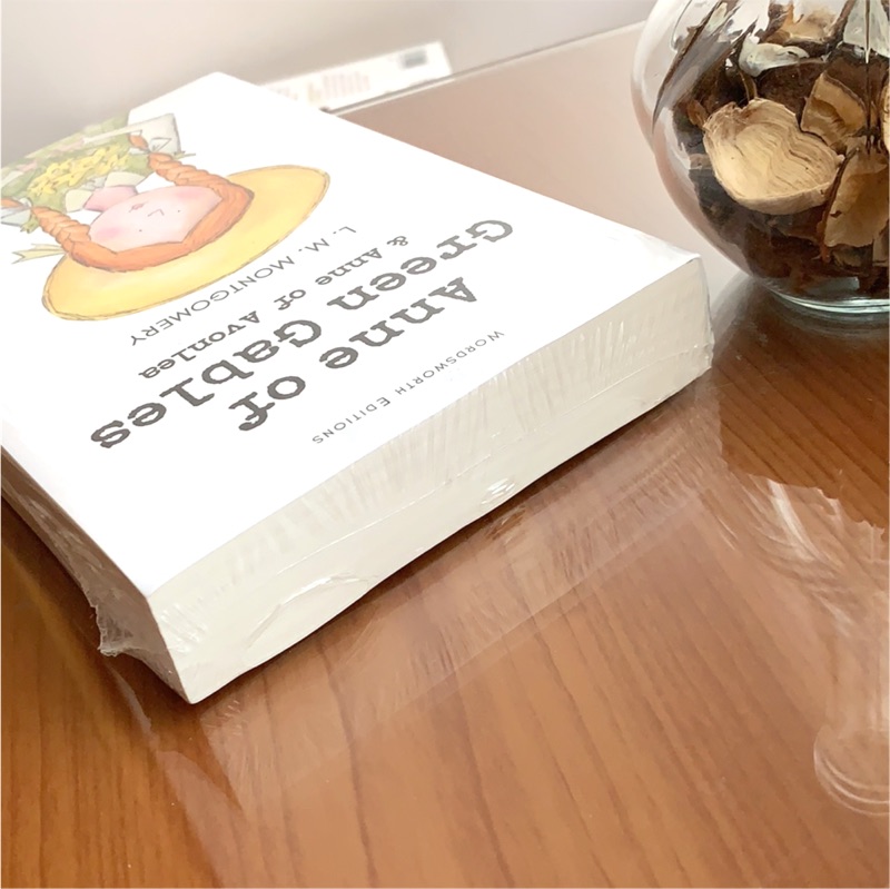 清秀佳人全新原文小說紅髮安妮anne Of Green Gables 英文小說勇敢的安妮novel 蝦皮購物