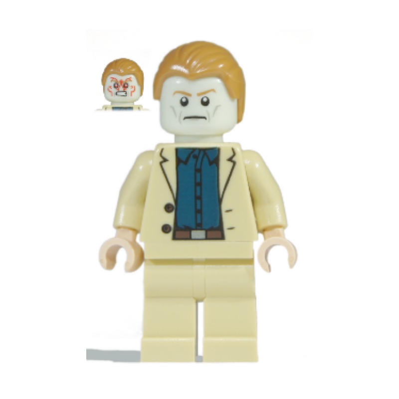 ［BrickHouse] LEGO 樂高 76006 sh067 居理安 全新