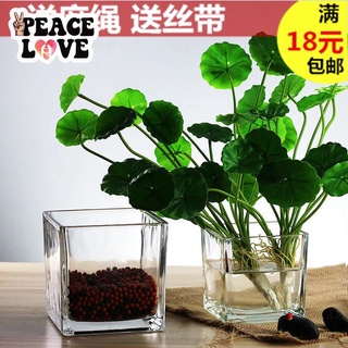 2020新款家居裝飾無鉛水晶圓點透明玻璃花瓶方缸水培桌面花器擺件