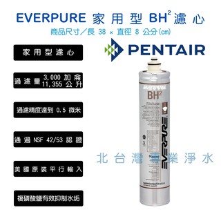 EVERPURE BH2 濾心 多了抑制水垢 HS288 雙溫加熱器濾心 另有 S100 H104 S104