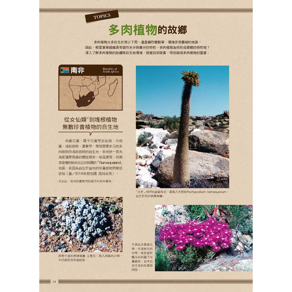 500個多肉品種圖鑑 栽種訣竅 專家級多肉植物栽植密技 蝦皮購物