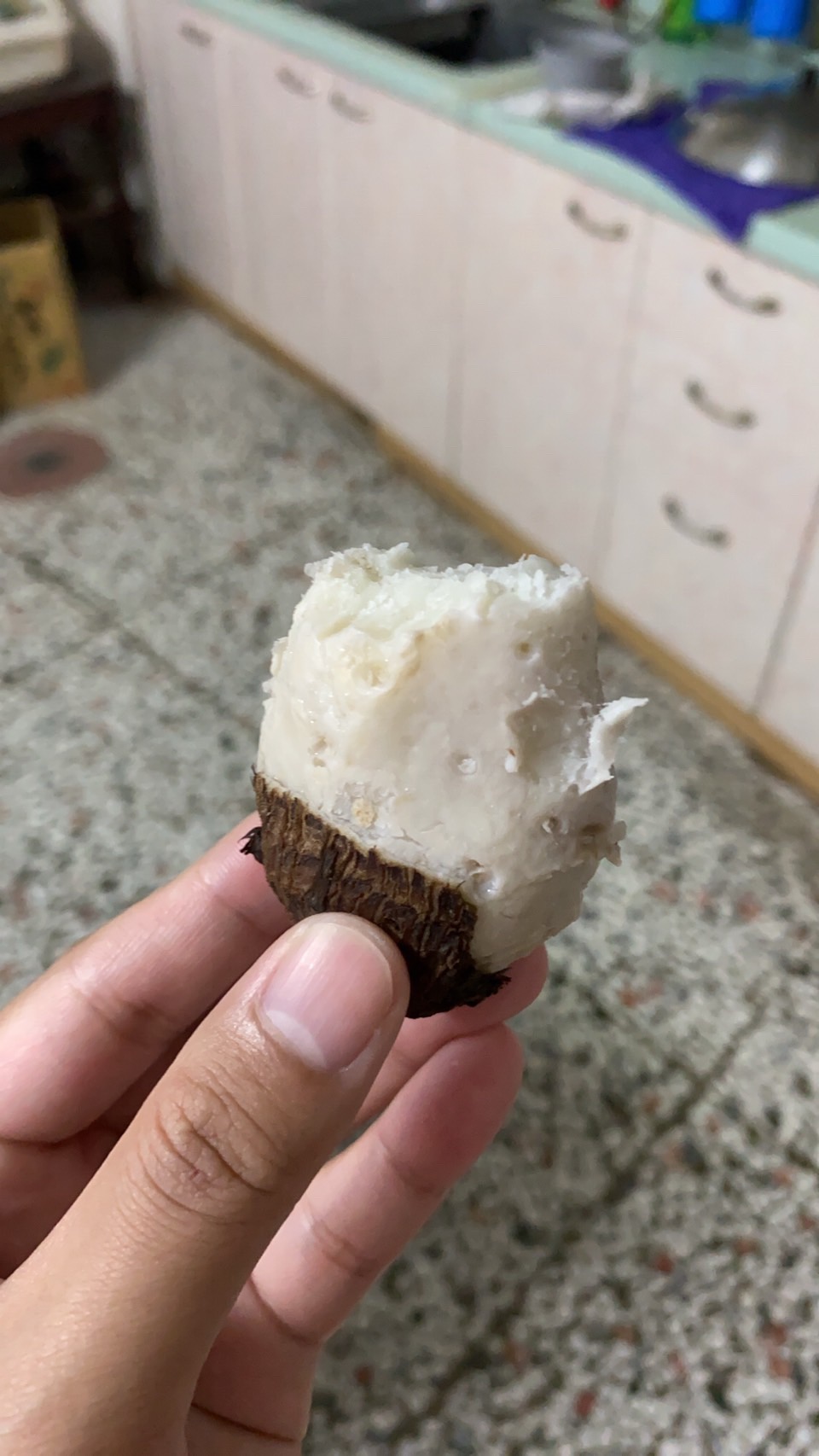 赤芋牙ㄧ台斤山芋頭 赤芽芋 里芋 小芋頭 芋艿 新鮮子芋自種5斤起訂 蝦皮購物