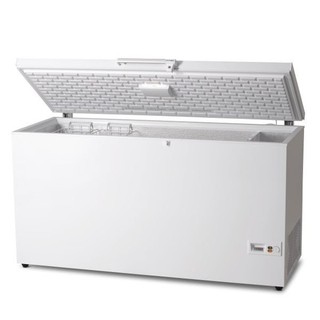 丹麥 VESTFROST HF-201 181公升 原裝進口低溫 冷凍櫃 2尺4 冰櫃 -20℃