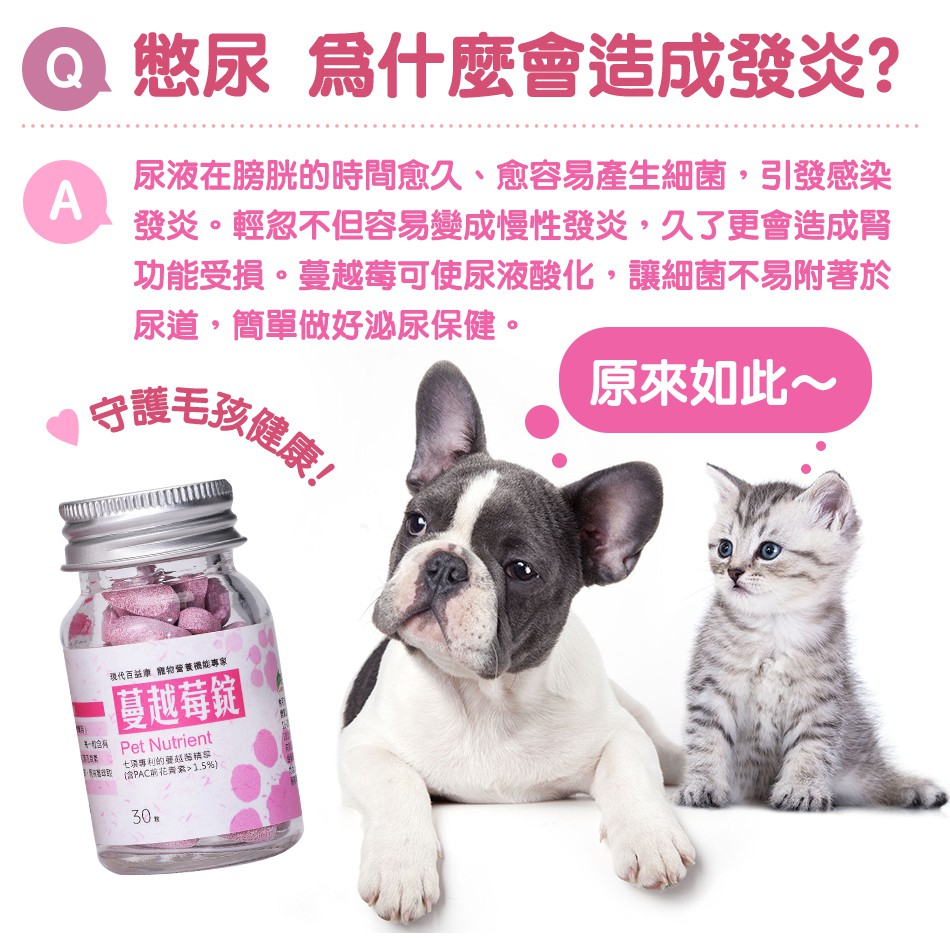 現代百益康 蔓越莓錠 犬貓泌尿保健 蝦皮購物
