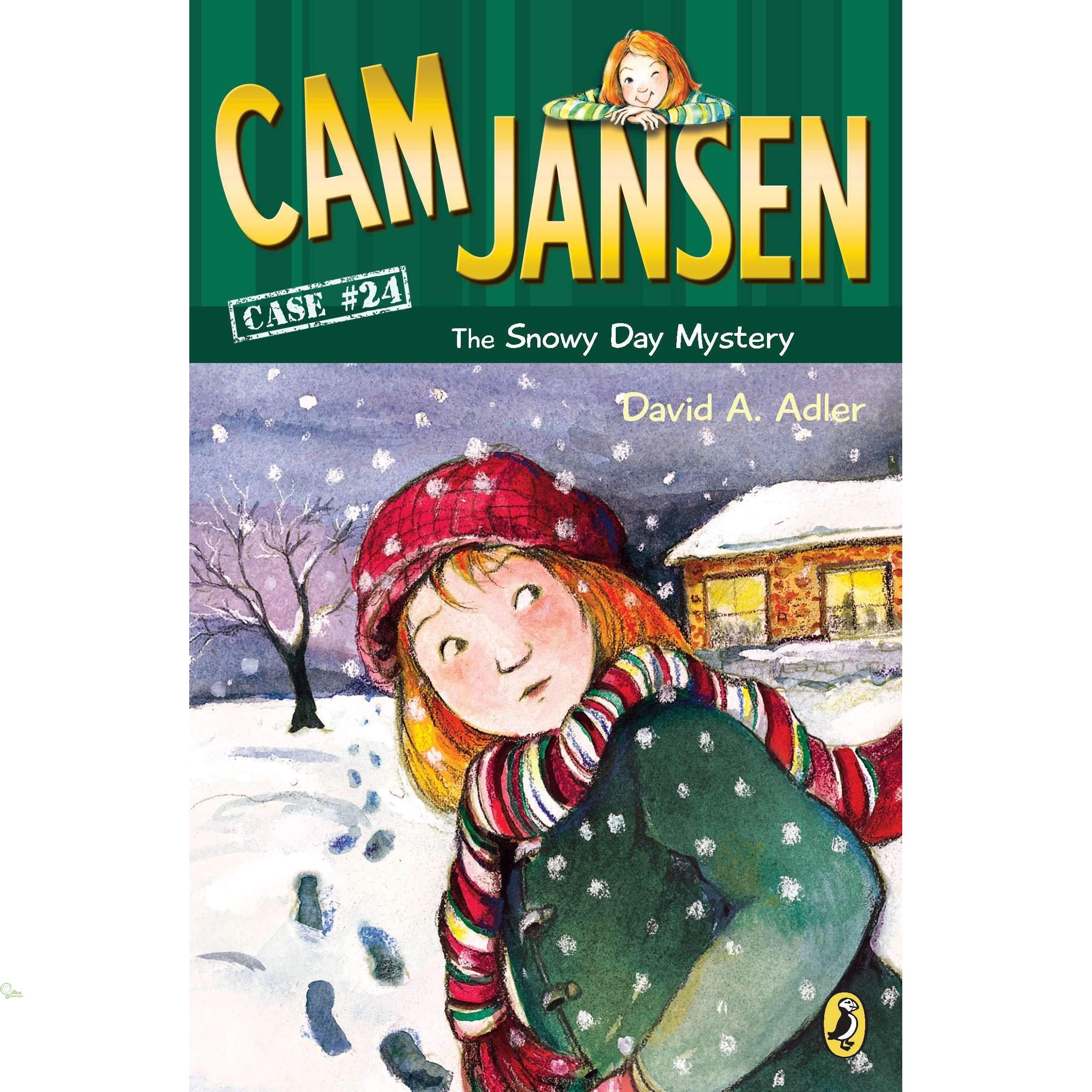 Cam Jansen and the Snowy Day Mystery