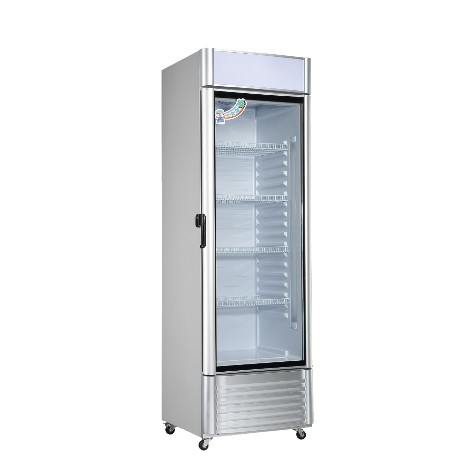 （B11-2）一路領鮮風冷全藏單門玻璃冰箱/352L/單門玻璃氣冷/營業用/全藏/XLS-380
