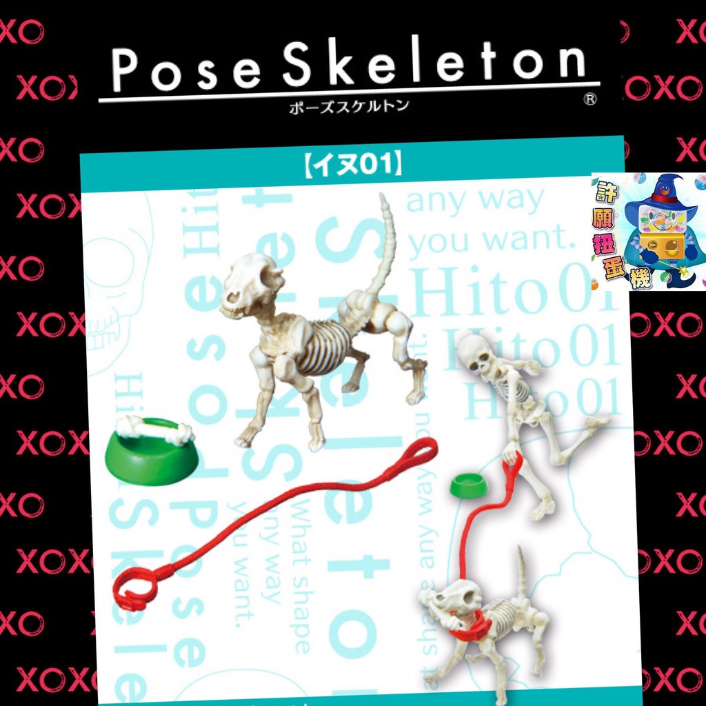 【許願扭蛋機】Re-Ment Pose Skeleton寵物犬01(再販) 寵物狗 骷髏狗 現貨不用等 骷髏人 小狗