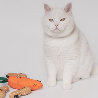 Chëer Tail韓國直送🇰🇷Bite Me濟州紅蘿蔔/花生玩具 韓國貓咪玩具 寵物貓薄荷玩具 貓咪響紙玩具