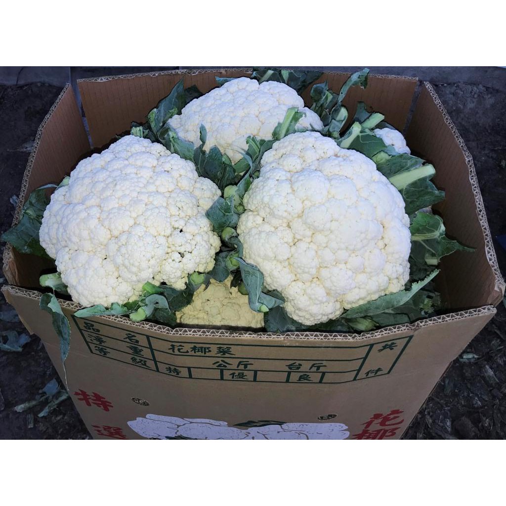大城鄉青農所種植的白花椰菜 每箱18公斤 價格會隨菜價波動 目前1箱約15 朵 感謝大家熱情的購買 蝦皮購物