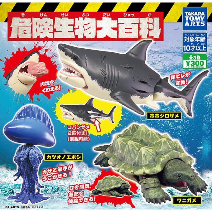 T Arts 危險生物大百科第一彈動物生物百科扭蛋轉蛋全3種 蝦皮購物