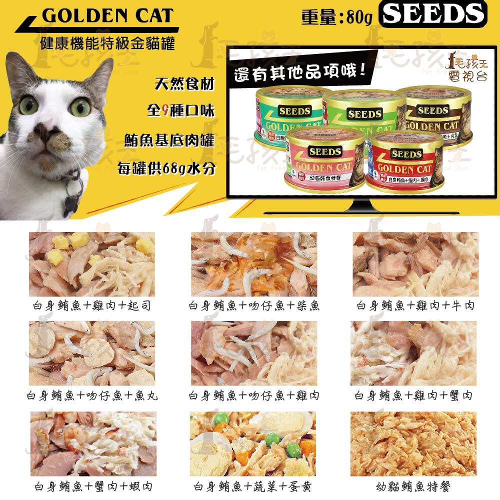 ☆毛孩王☆SEEDS 惜時 Golden Cat健康機能特級金貓罐 80g 特級金 貓罐 貓罐頭 金貓罐 金罐 小金 貓