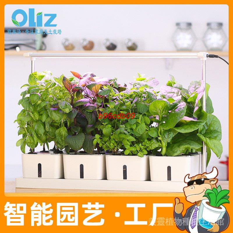種植蔬菜箱ptt與dcard推薦網拍商品 22年1月 飛比價格