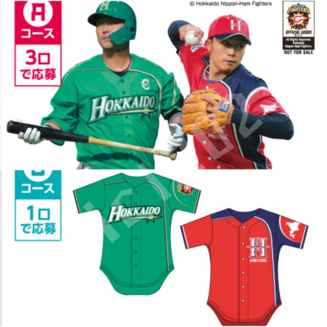 NPB 日本職棒 2019 北海道日本火腿鬥士 棒球球衣 空白背號 球迷入場發送的贈品 外面無市售