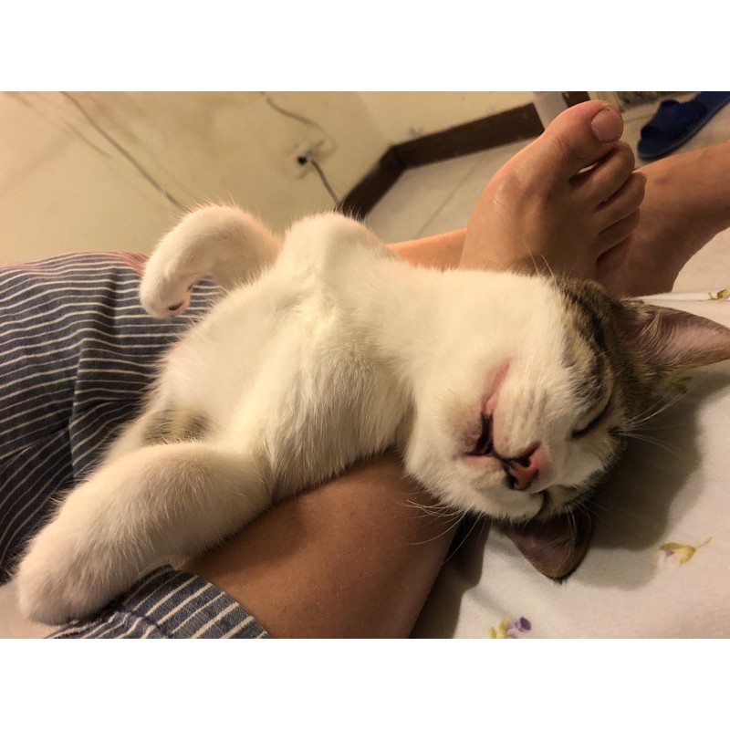 快過期的詩威特防曬+贈品