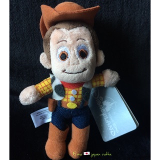 💖現貨💖香港 Hong Kong Disney LAND 玩具總動員 胡迪 ANDY 小玩偶